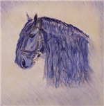 Friesian Horse Friesian Horse