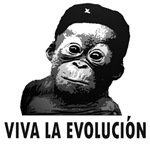 Viva La Evolucion Viva La Evolucion