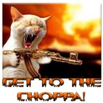 Killer Kitty Killer Kitty
