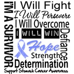 Stomach Cancer Persevere Shirts Stomach Cancer Persevere Shirts