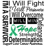 Liver Cancer Persevere Shirts Liver Cancer Persevere Shirts