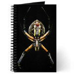 Spider -black - Housewares and Miscellany Spider -black - Housewares and Miscellany