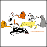 CAT GIFTS FOR CAT LOVERS CAT GIFTS FOR CAT LOVERS