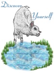 Discover Yourself Baby Goat Discover Yourself Baby Goat