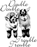 Double Trouble Twins Double Trouble Twins