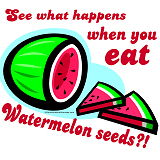 Don't Swallow Watermelon Seeds Don't Swallow Watermelon Seeds
