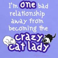 Crazy Cat Lady Crazy Cat Lady