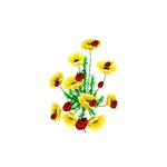 Ladybugs Yellow Flowers Ladybugs Yellow Flowers