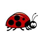Ladybug Ladybug