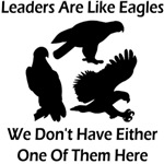 Leaders Are Like Eagles Leaders Are Like Eagles