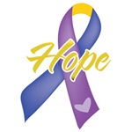 Hope Bladder Cancer Shirts and Gifts Hope Bladder Cancer Shirts and Gifts