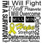 Testicular Cancer Persevere Shirts Testicular Cancer Persevere Shirts