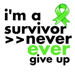 Never Give Up Non-Hodgkins Lymphoma Shirts Never Give Up Non-Hodgkins Lymphoma Shirts