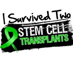 I Survived TWO Stem Cell Transplants Shirts I Survived TWO Stem Cell Transplants Shirts