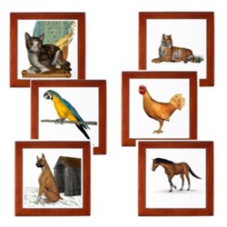 Paw Prints - Animal Designs Paw Prints - Animal Designs