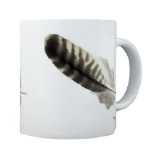 Another Feather - Housewares and Miscellany Another Feather - Housewares and Miscellany