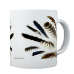 Feather Groups - Housewares and Miscellany Feather Groups - Housewares and Miscellany