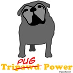 Tri-Pug Power!