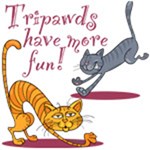 Tripawd Cats Unite!